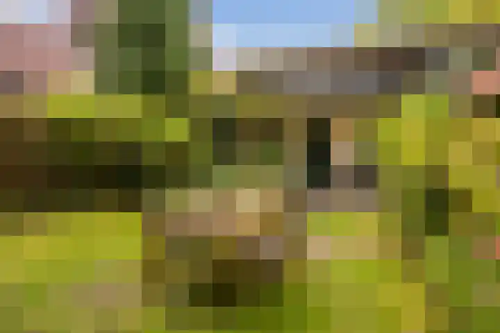 Kruislaan 2 Bilthoven thumbnail 23