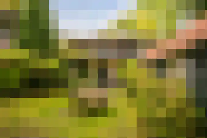 Kruislaan 2 Bilthoven thumbnail 24