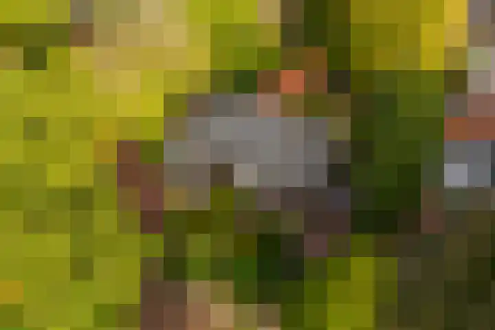 Kruislaan 2 Bilthoven thumbnail 6
