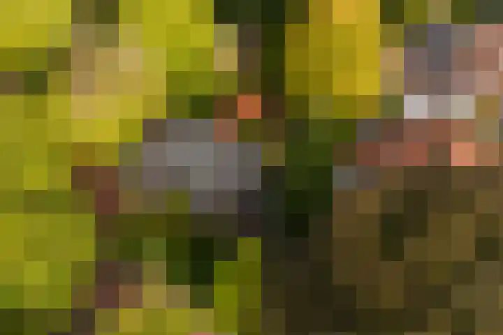 Kruislaan 2 Bilthoven thumbnail 76