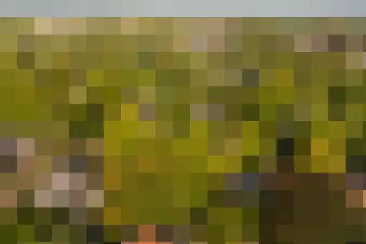 Kruislaan 2 Bilthoven thumbnail 79