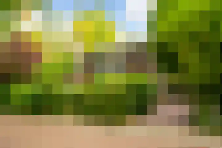 Kruislaan 2 Bilthoven thumbnail 8