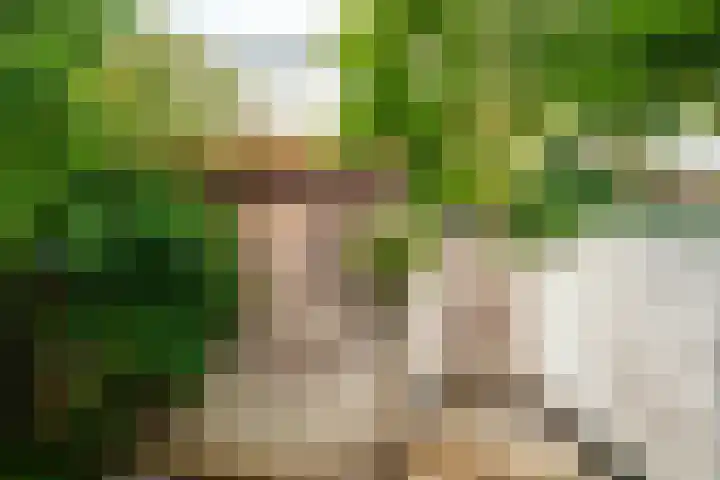 Kruislaan 9 Bussum thumbnail 27