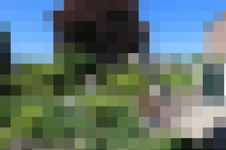 Kruispad 12 Groesbeek thumbnail 13