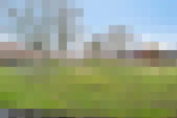Kruispad 8 Prinsenbeek thumbnail 29