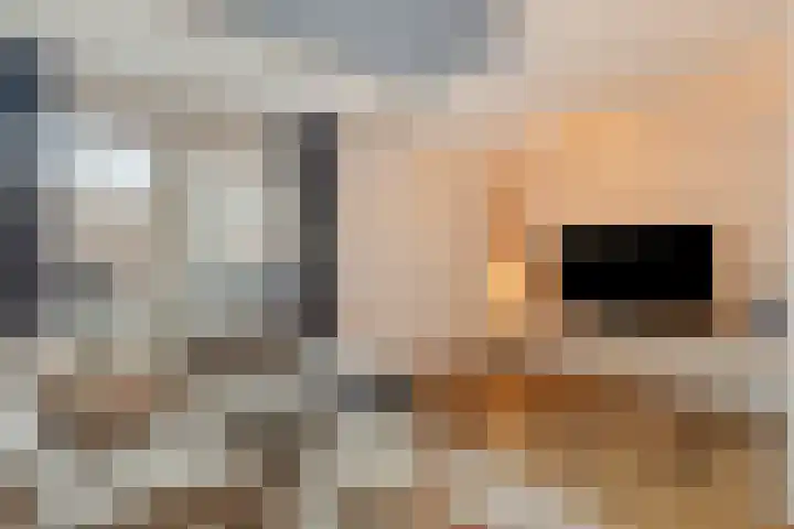 Kruispad 8 Prinsenbeek thumbnail 7