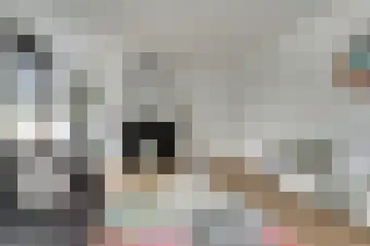 Kruisstraat 1 Dieren thumbnail 10