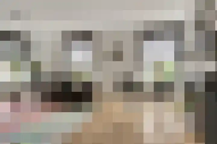 Kruisstraat 1 Dieren thumbnail 11