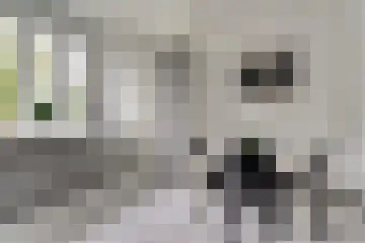 Kruisstraat 1 Dieren thumbnail 12