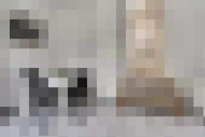 Kruisstraat 1 Dieren thumbnail 13