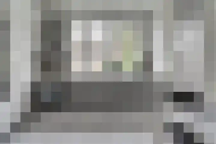 Kruisstraat 1 Dieren thumbnail 15