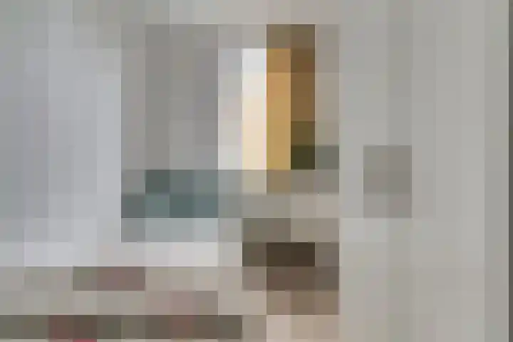 Kruisstraat 1 Dieren thumbnail 19