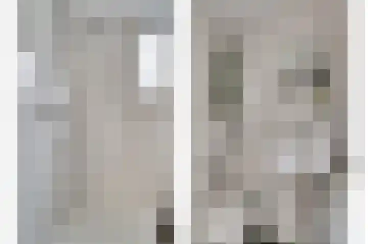 Kruisstraat 1 Dieren thumbnail 21