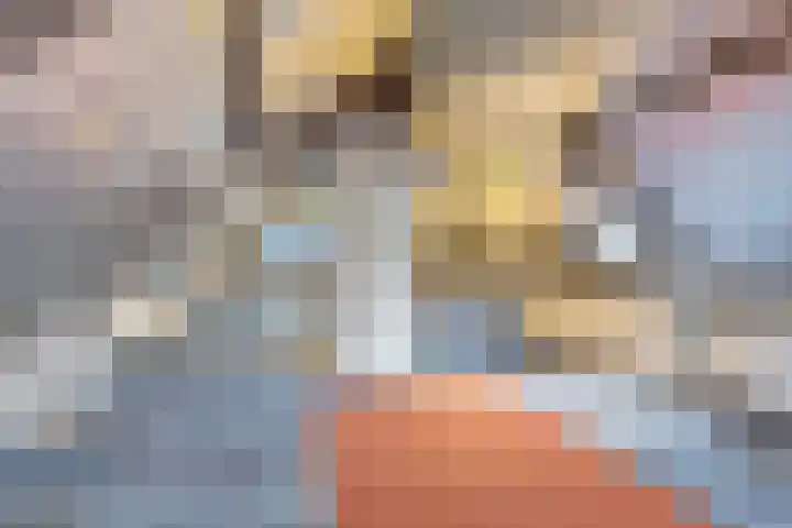 Kruisstraat 1 Dieren thumbnail 22