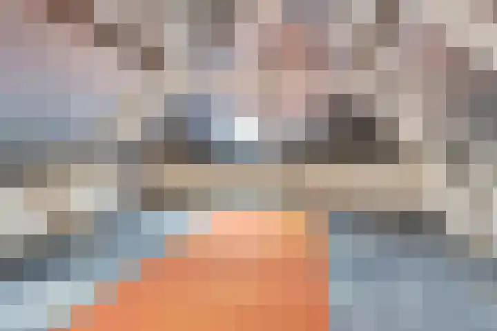Kruisstraat 1 Dieren thumbnail 23