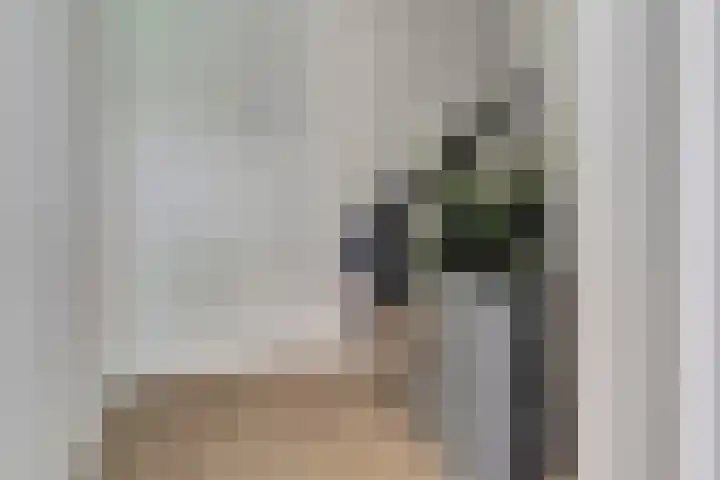 Kruisstraat 1 Dieren thumbnail 5