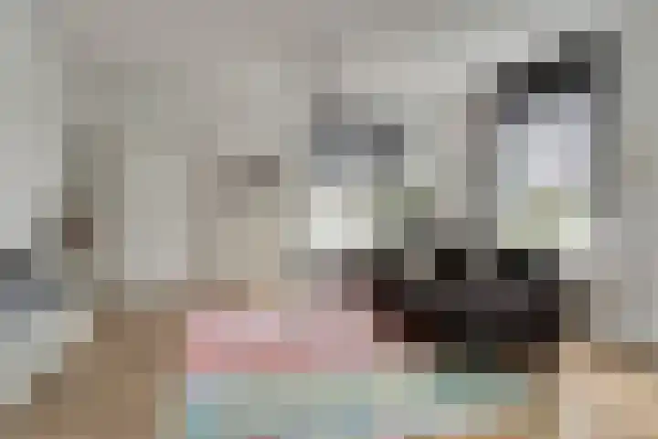 Kruisstraat 1 Dieren thumbnail 8