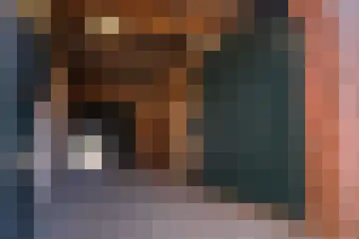 Kruisstraat 106 Stein thumbnail 31