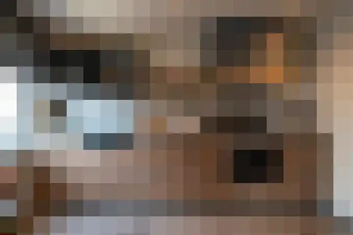 Kruisstraat 16 Stein thumbnail 12