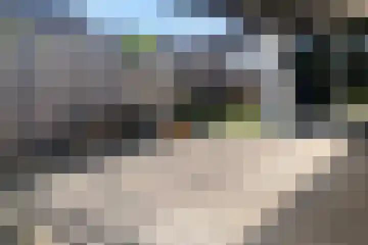 Kruisstraat 16 Stein thumbnail 18