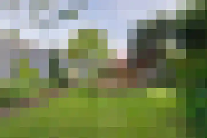 Kruisstraat 16 Stein thumbnail 22