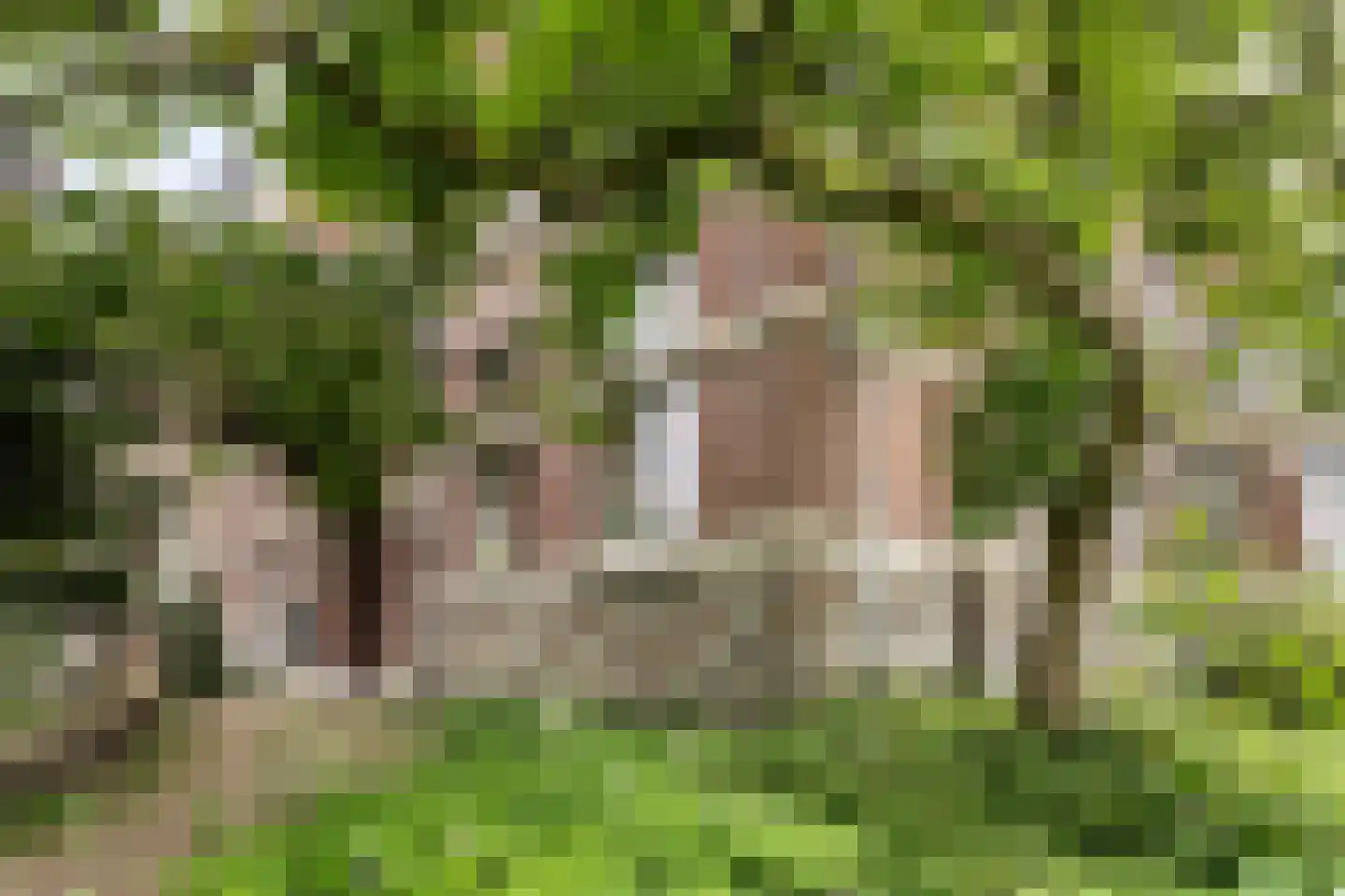 Kruisstraat 2 A Heerlen thumbnail 23