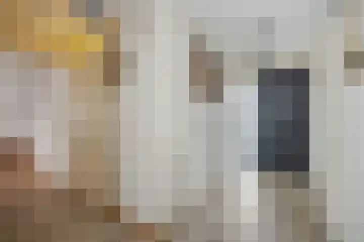 Kruisstraat 35 Deurne thumbnail 11