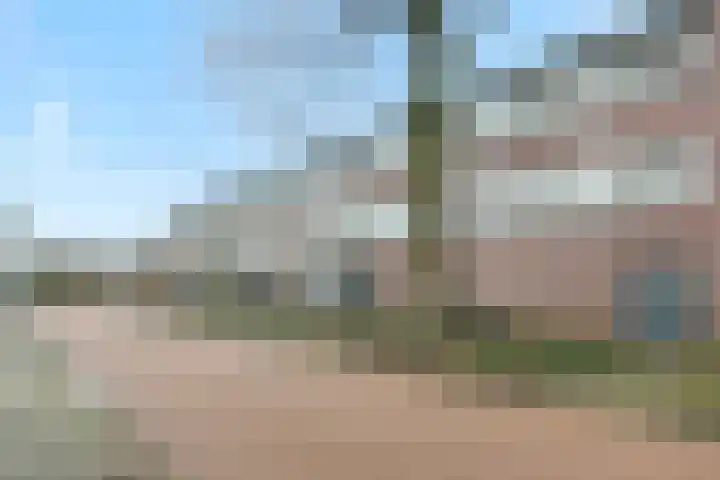 Kruisstraat 35 Deurne thumbnail 30