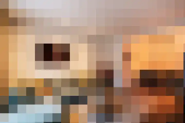 Kruisstraat 45 Oss thumbnail 7