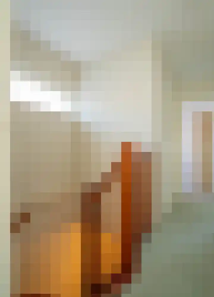 Kruisstraat 7 Deurne thumbnail 16