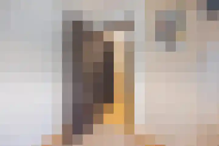 Kruisstraat 8 Hegelsom thumbnail 27