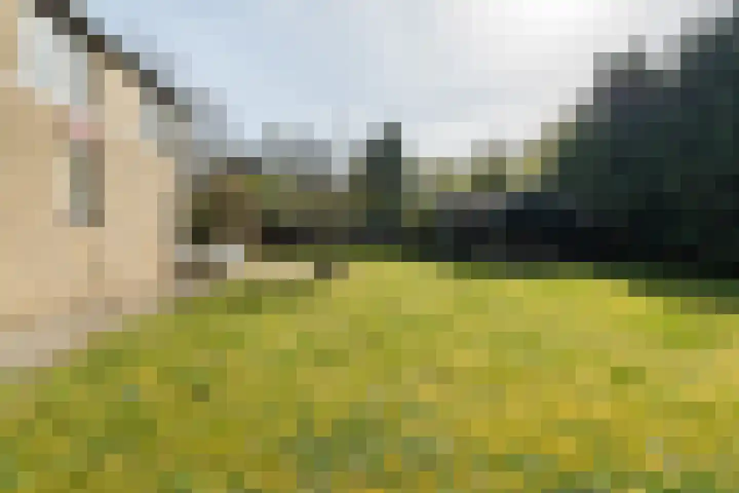 Kruisstraat 92 A in Veldhoven
