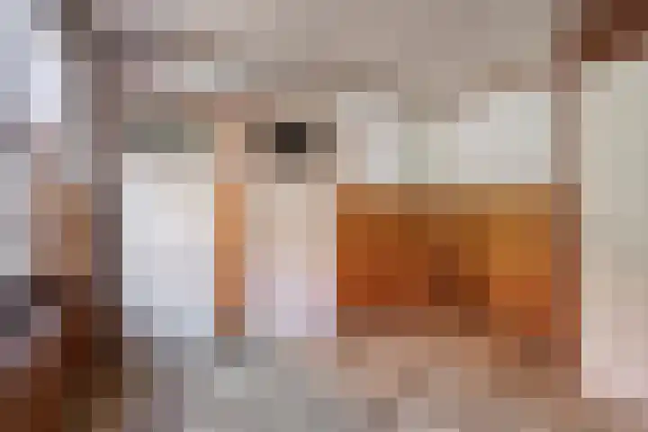 Kruisstraat 94 Stein thumbnail 22