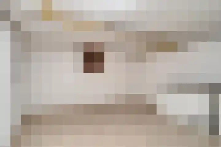 Kruisstraat 94 Stein thumbnail 38