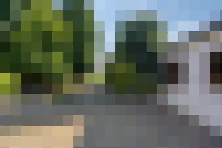 Kruisstraat 94 Stein thumbnail 47