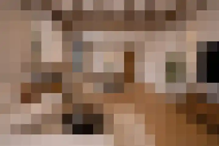 Kruisstraat 94 Stein thumbnail 5