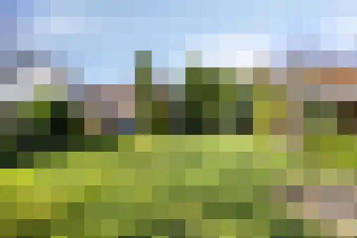 Kruisstraat 94 Stein thumbnail 51