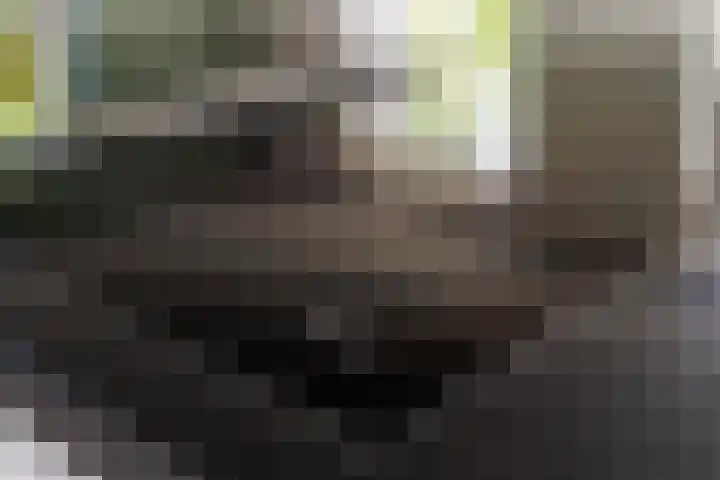 Kruisstukweg 1 Wehl thumbnail 13