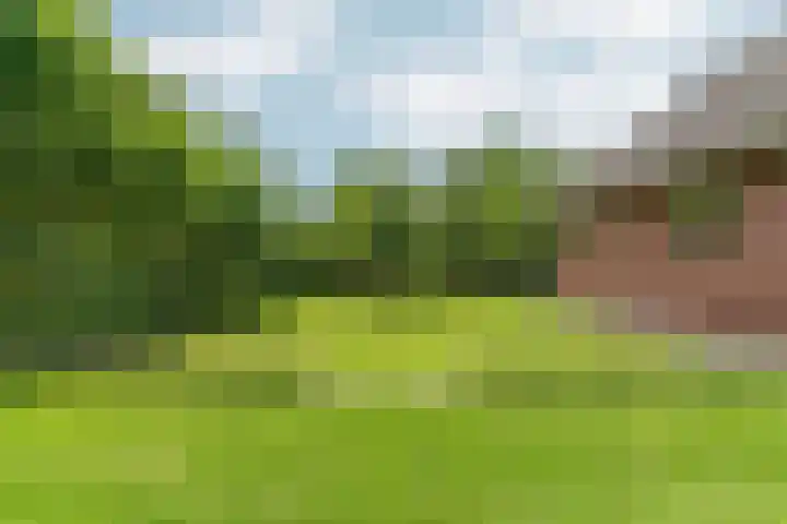 Kruisstukweg 1 Wehl thumbnail 44