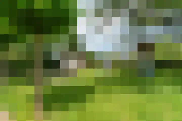 Kruisstukweg 1 Wehl thumbnail 46