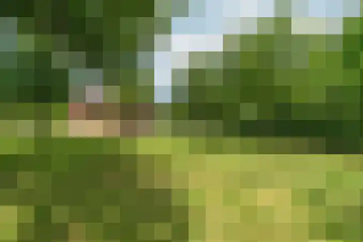 Kruisstukweg 1 Wehl thumbnail 52