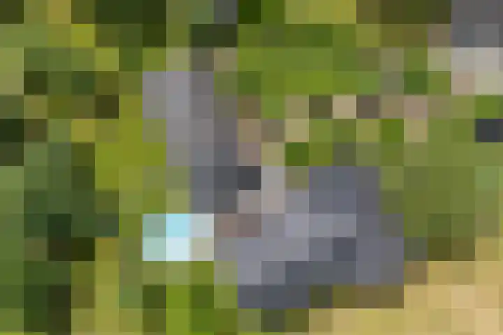 Kruisstukweg 1 Wehl thumbnail 61