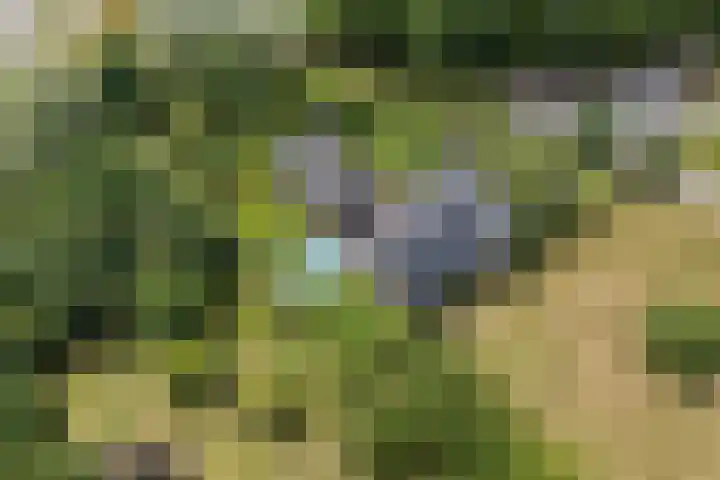 Kruisstukweg 1 Wehl thumbnail 62