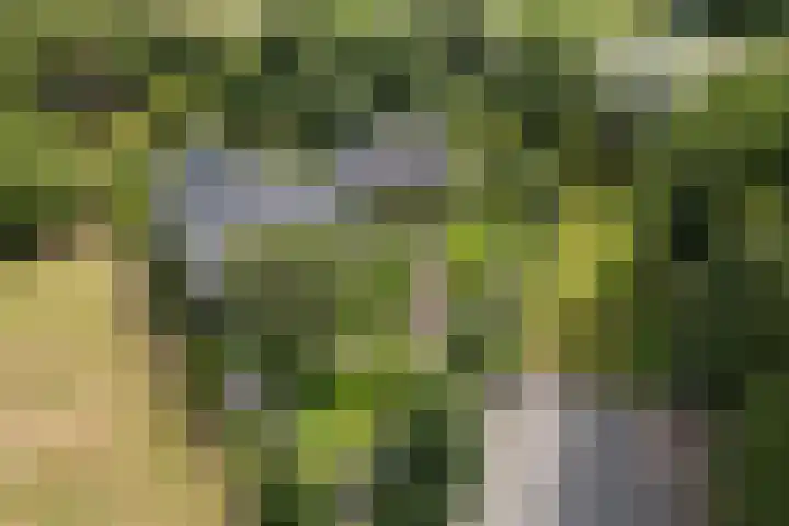 Kruisstukweg 1 Wehl thumbnail 63