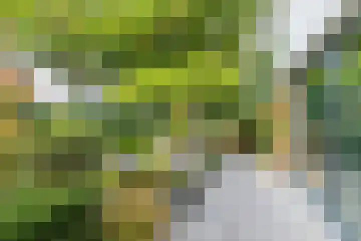 Kruisweg 21 Nuth thumbnail 27