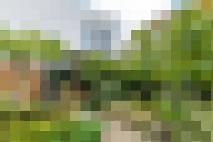 Kruisweg 21 Nuth thumbnail 28