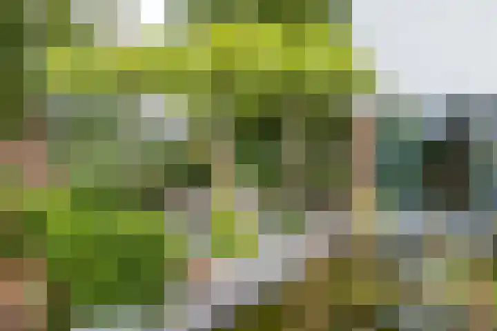 Kruisweg 21 Nuth thumbnail 31