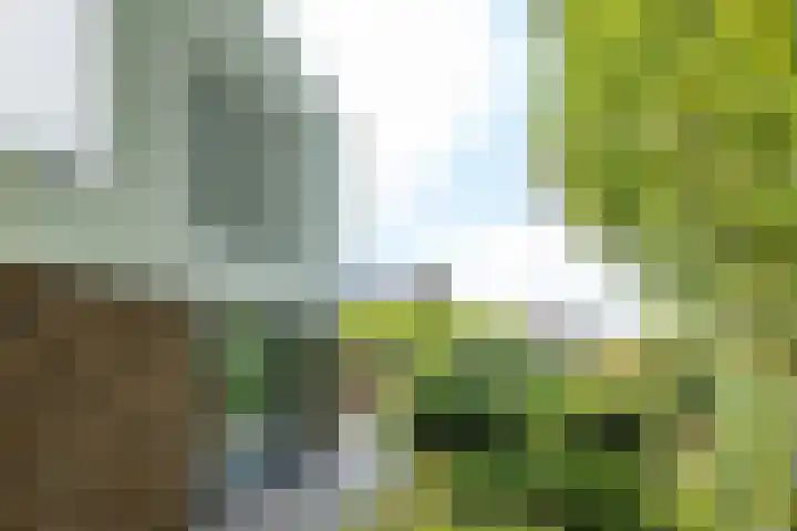 Kruisweg 21 Nuth thumbnail 32