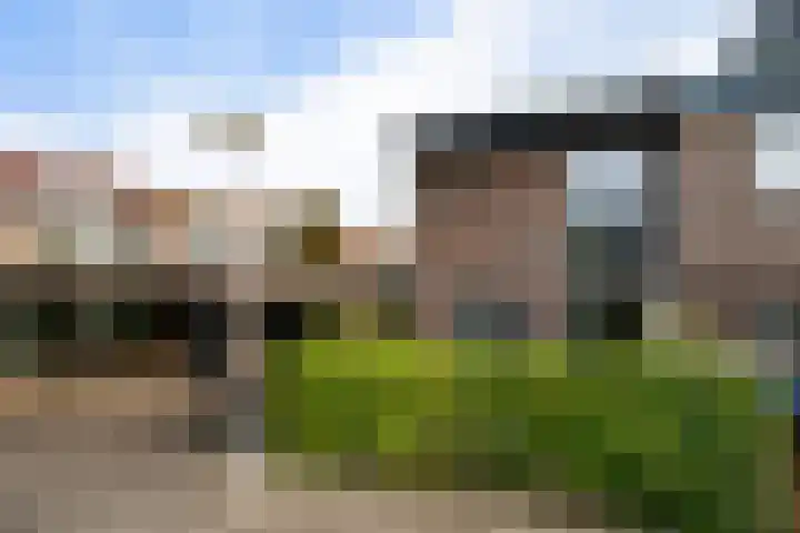 Kruiswortel 2 De Meern