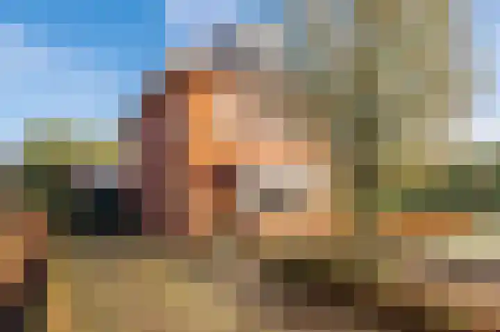Kruithof 5 Haaften